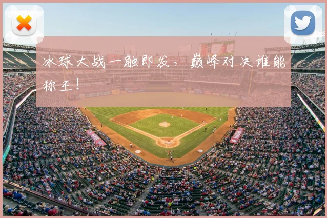 冰球大战一触即发，巅峰对决谁能称王！